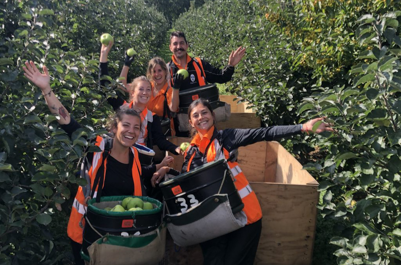 Broadwater Farm Job Summer Fruit Picking